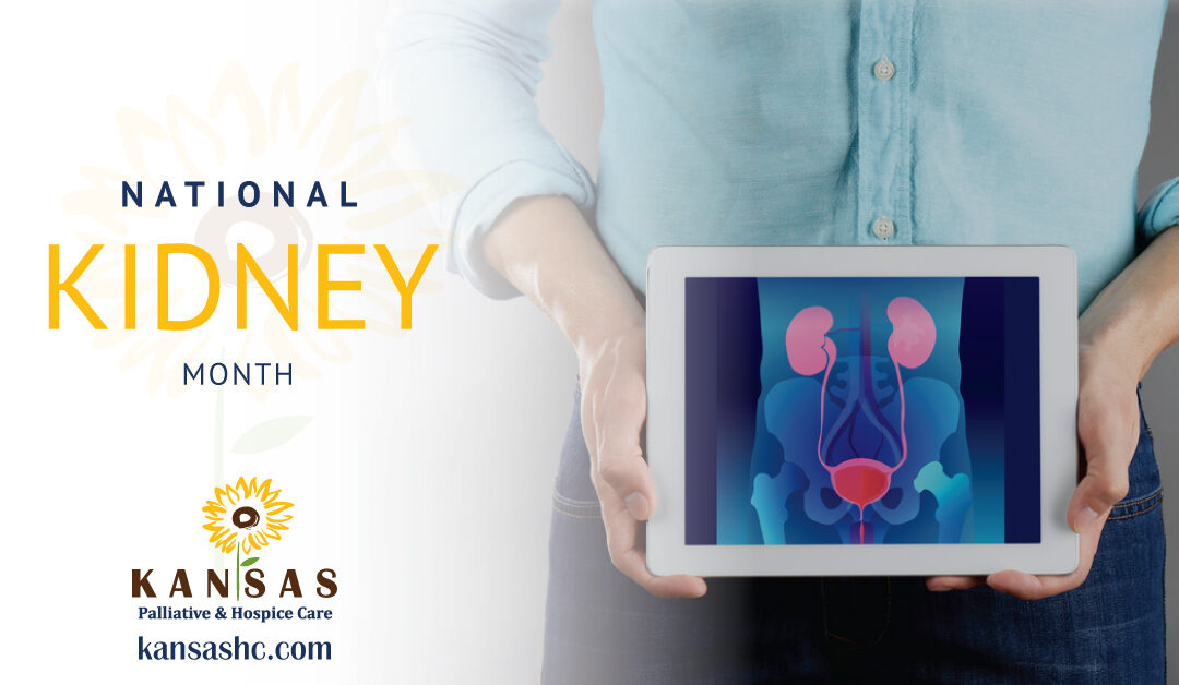National Kidney Month: Renal Disease