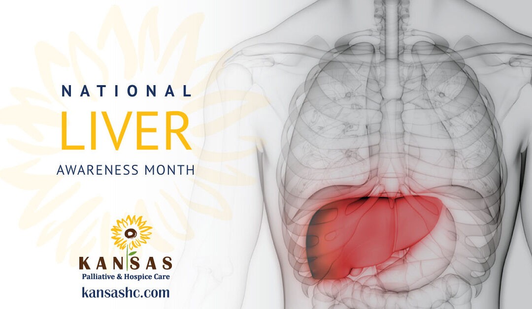 Liver Awareness Month: What You Need To Know￼