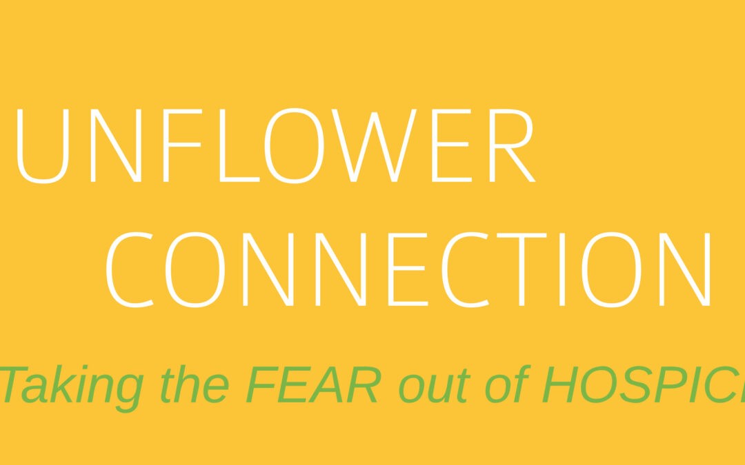Sunflower Connection – Newsletter August 2023
